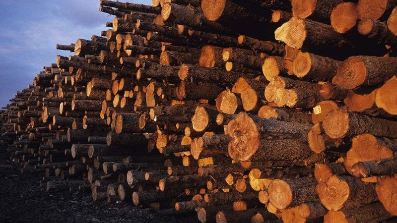 工程用烤漆门批量报价明细解析：揭秘价格背后的秘密